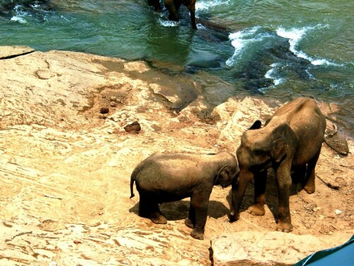 srilanka-155739793c892702ab48.jpeg