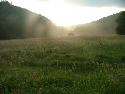 1086b78cf68f527855d1.jpeg