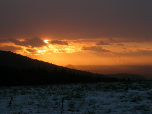 sonnenuntergang-im-schwarzwald-446.jpeg
