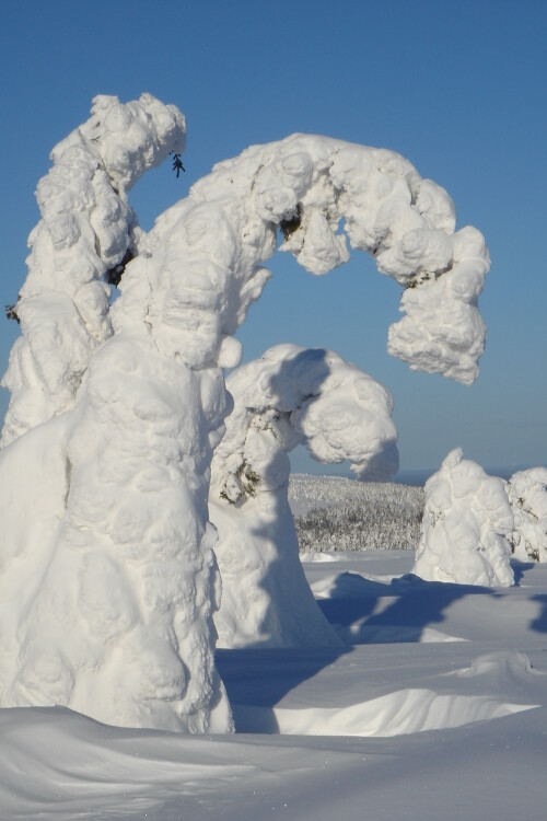 verbeugung-vor-der-natur-6778.jpeg