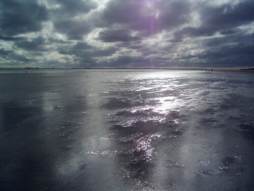 wattenmeer-1170.jpeg