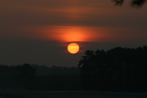 sonnenaufgang-im-winter-876.jpeg