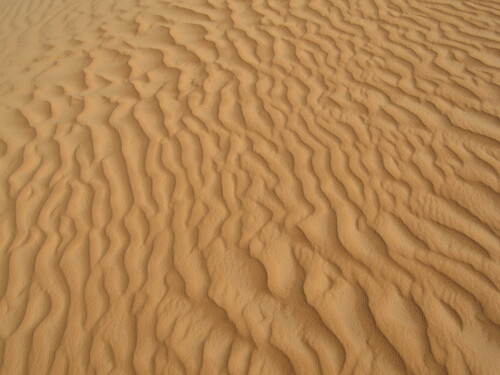 wellen-im-sand-49.jpeg