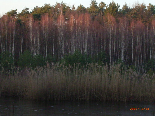 abendstimmung-1022.jpeg