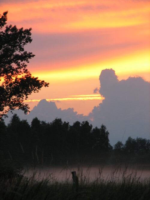 abendnebel-2288.jpeg