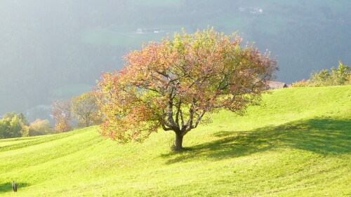 herbststimmung-in-verdins-191344ecc60514e48857.jpeg