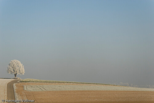 rau-h-reif-1032d25770e5589b9172.jpeg