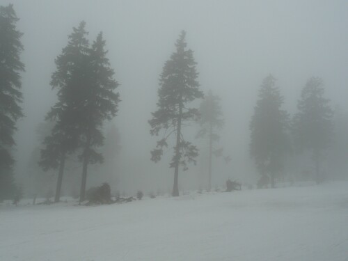 nebel-am-keilberg-2649.jpeg