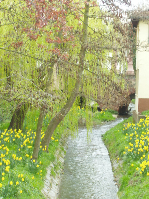 bachlein-durch-s-stadtlein-45250e9397838adb5ce7.jpeg