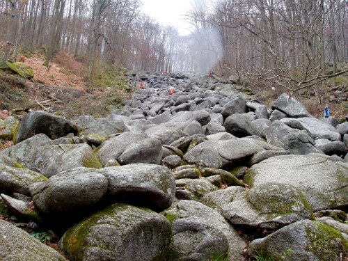 felsenmeer-641877f41b72629ace93.jpeg