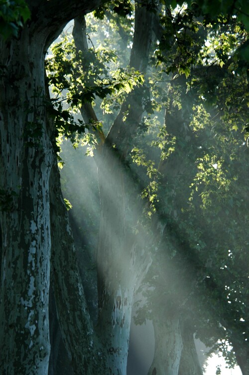 flutendes-licht-214567a3cf5fbe87c0ce.jpeg