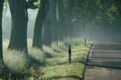 herz-aufgeh-moment-am-sonntagmorgen-21466a2c65dc521bb872.jpeg