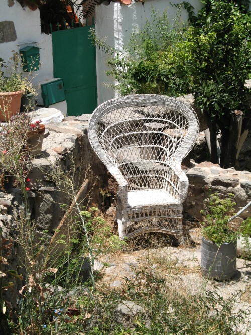 garten-auf-gran-canaria-9561.jpeg