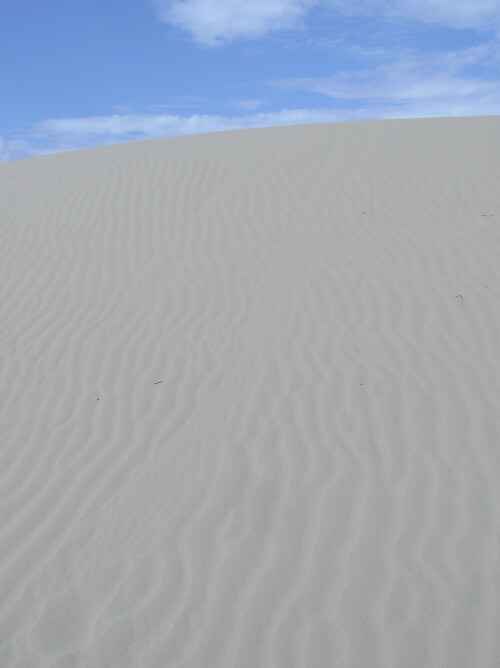 sanddune-2697.jpeg