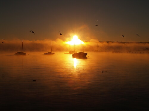 sonnenaufgang-am-ammersee-3683.jpeg