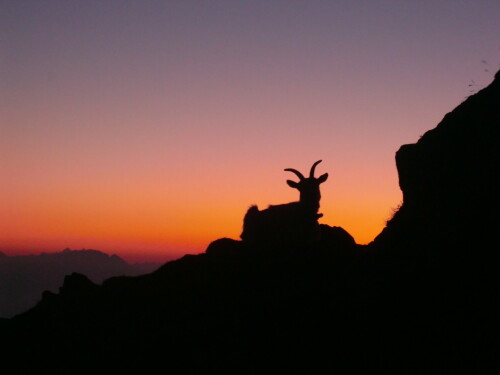 sonnenaufgang-auf-dem-laugen-6495.jpeg