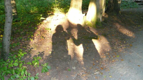 herbstgestalten-2175966354a34ec6a9e9.jpeg