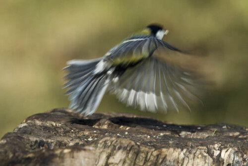 abflug-231874eb66c0da9e7a31.jpeg