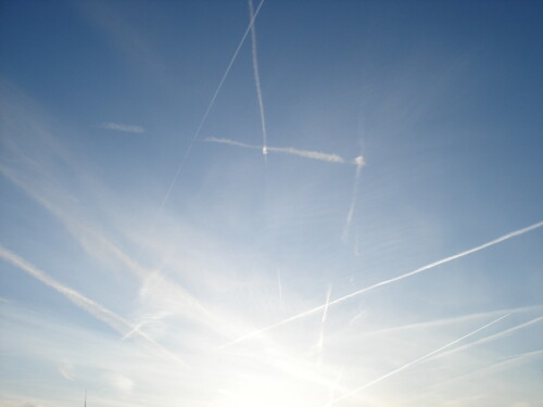 kalter-wintermorgen-2460.jpeg