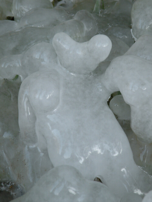 eisbar-2553972fec5f0952bdfb.jpeg