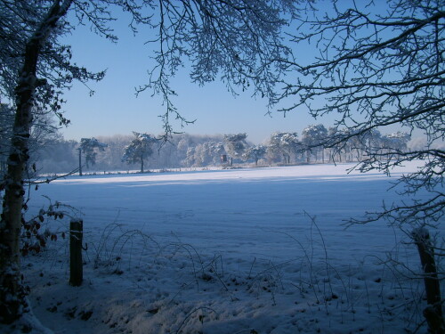 winter-2590.jpeg