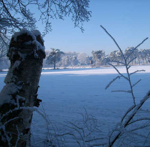 winter-2591.jpeg