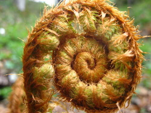 spirale-3162.jpeg