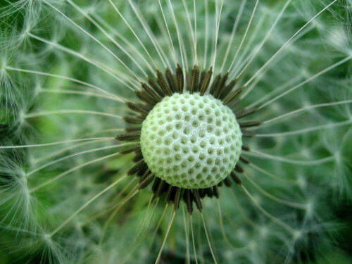 fragile-4388.jpeg