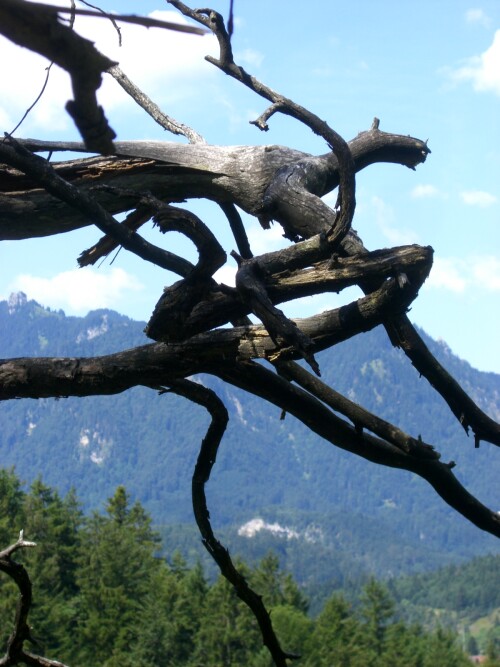 landart-anian-prowo09-3605.jpeg
