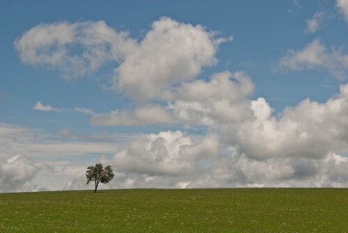 solitar-35956392cb9795a1ea17.jpeg