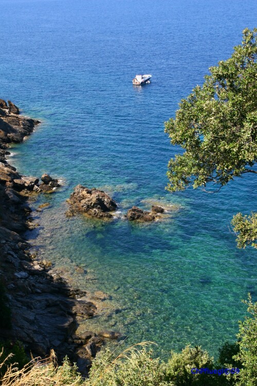 kuste-auf-elba-4651e72d36eb0d2e7558.jpeg