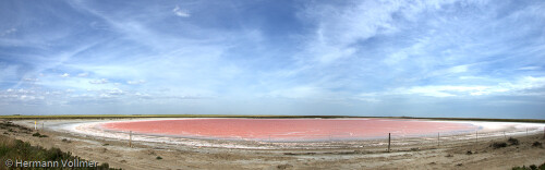 pink-lake-43197a85c259a624d42b.jpeg