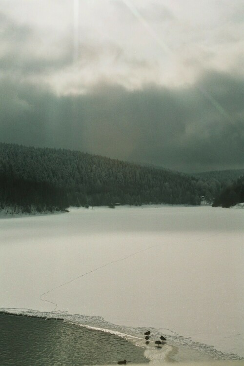 talsperre-falkenstein-6226.jpeg