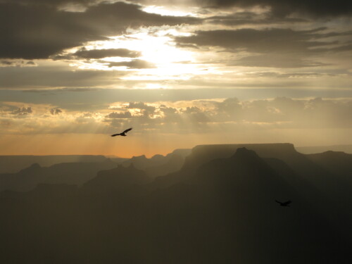 grand-canyon-5882.jpeg