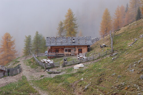 londai-alm-6507.jpeg