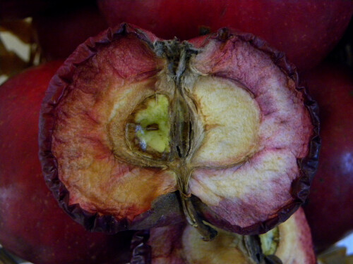 rotfleischiger-apfel-aufgeschn-5235fbf9b46bad4b4960.jpeg