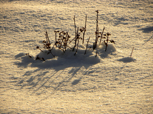 winterzauber-5380.jpeg