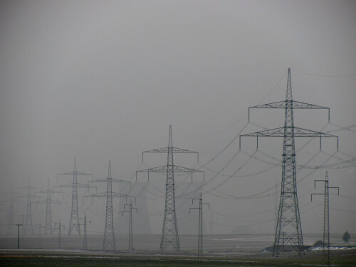 energiewald-5575.jpeg