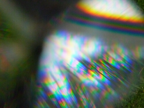 das-leben-ist-bunt-6613.jpeg