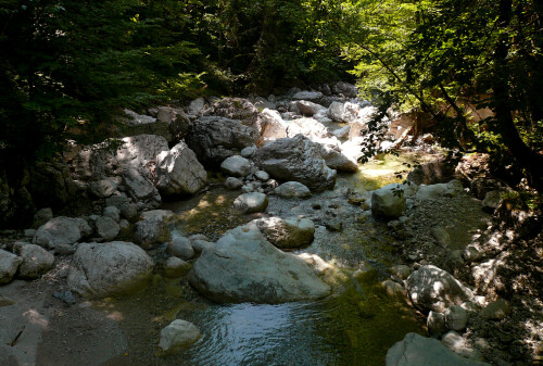 waldwasser-62406f7e2b366c6d8072.jpeg