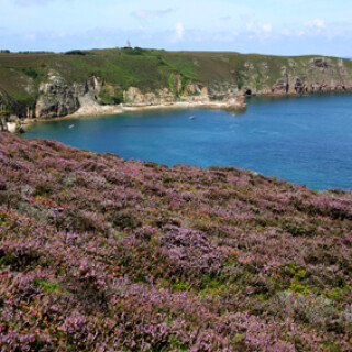 bretagne-cap-frehel-6332.jpeg