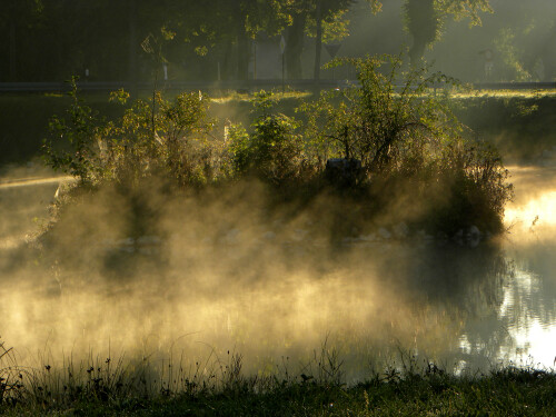 insel-im-morgennebel-6479.jpeg