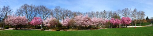 fruhlings-blute-6958ecef0cbb5abc37f2.jpeg