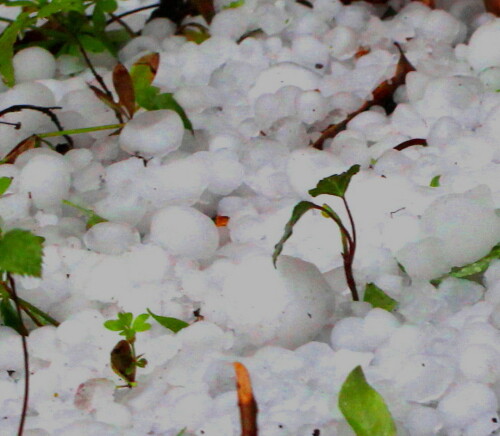 hagel-9957.jpeg