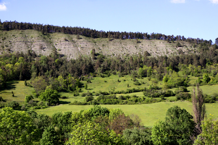 

Aufnameort: d jena
