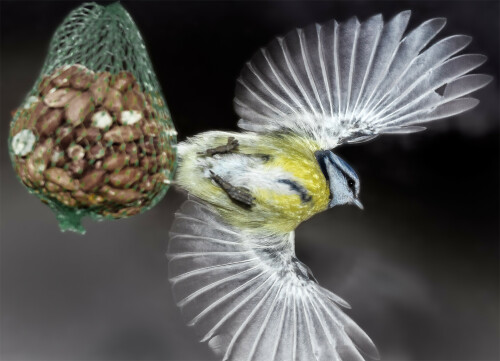 abflug-7590f69398a01954c211.jpeg