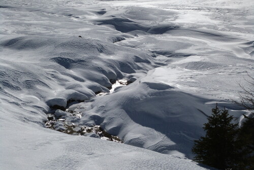 wind-spuren-im-schnee-7584.jpeg