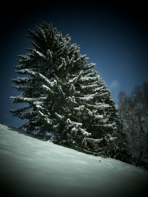 winterwandern-salzachtal-2-10161.jpeg
