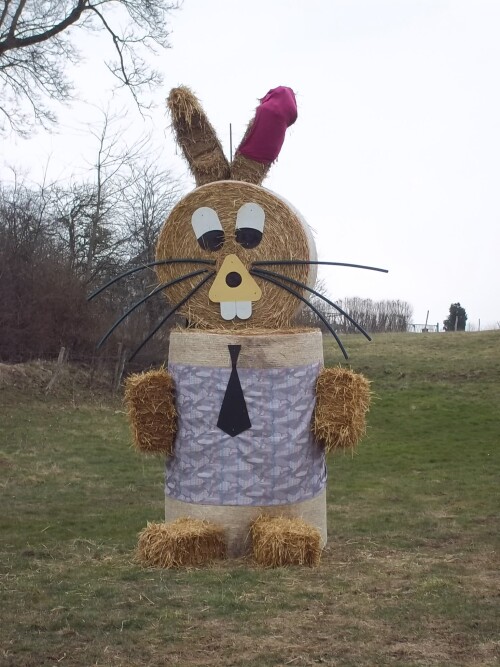 der-osterhase-7910.jpeg