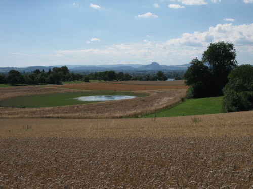 litzelsee-8380dca4d78a9afa64b3.jpeg